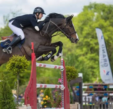Nombreux centres équestres dont le Haras de Bel Air